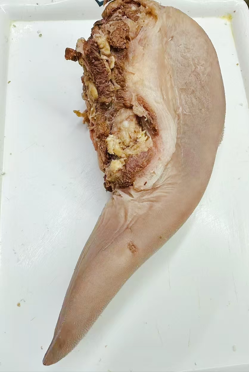 牛舌清真原味八分熟牛舌