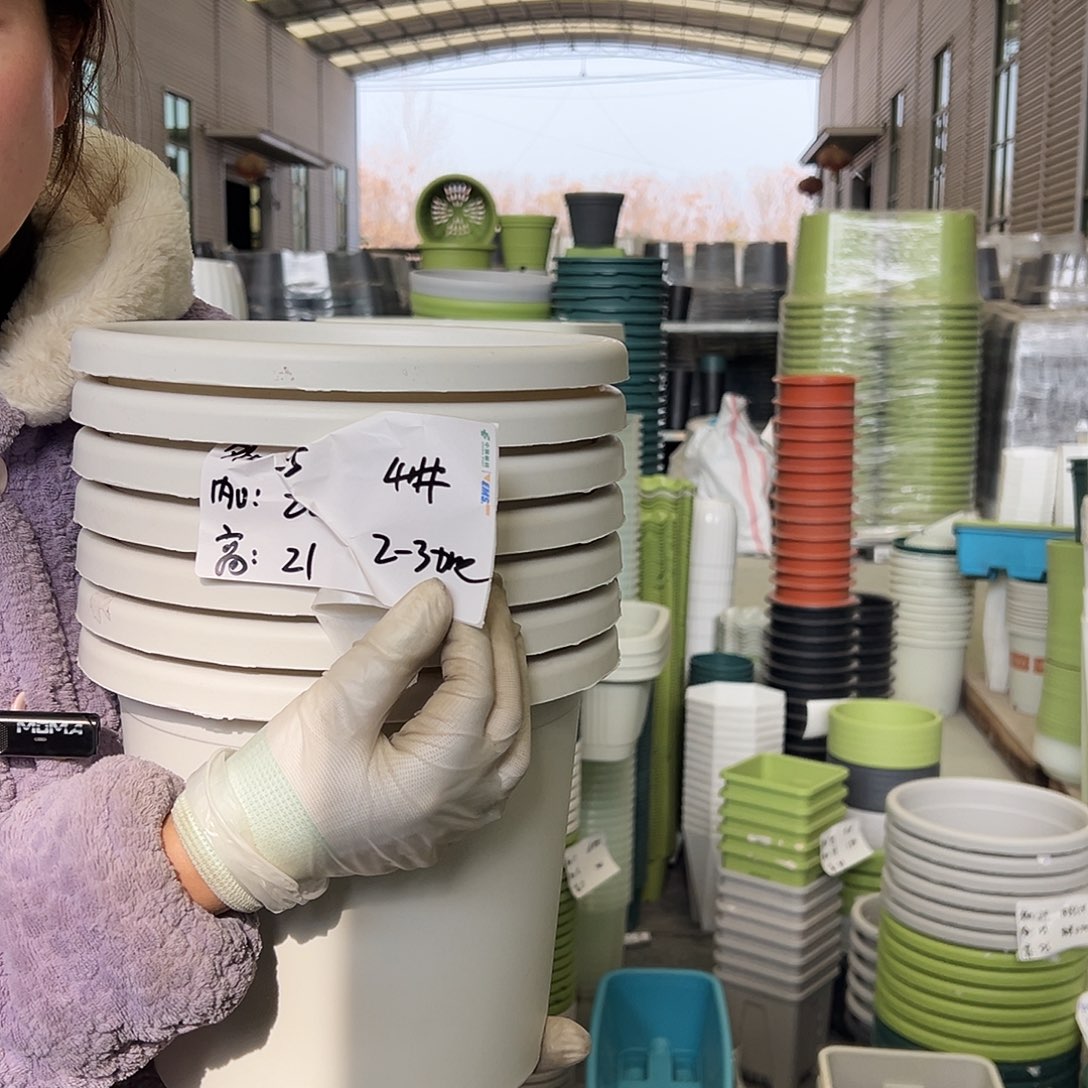 四季盆4#白色8个无托