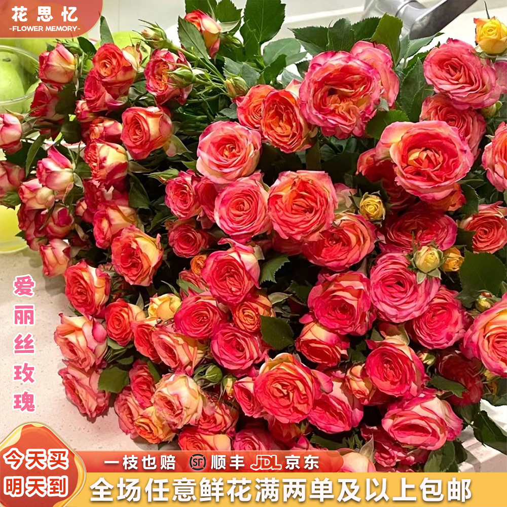 『爱丽丝玫瑰5枝』多头玫瑰 全场任意满两单鲜花顺丰京东送货上门 三单鲜花送玻璃花瓶鲜花直播批发次日达