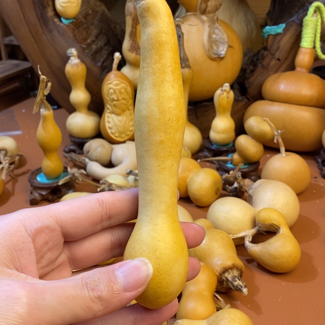 所***魏教练教练教练经理