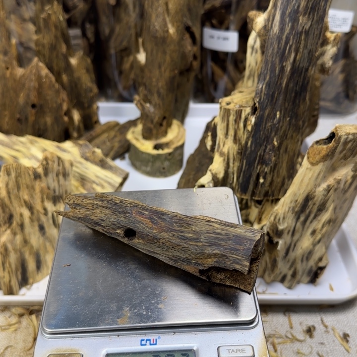 沉香红骨凹身虫漏香27克