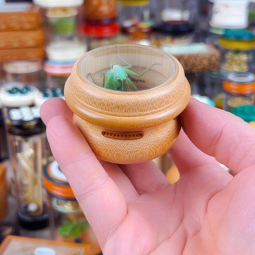 掌中宝小墩万体配