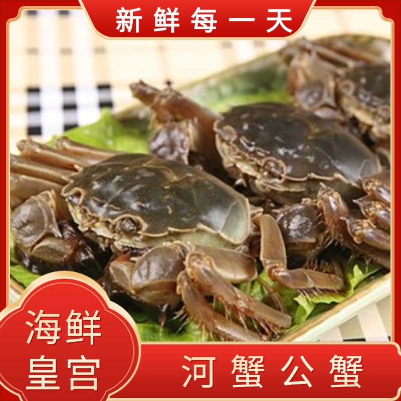 【活蟹】 河蟹 公蟹2.9两-3.1两/只 