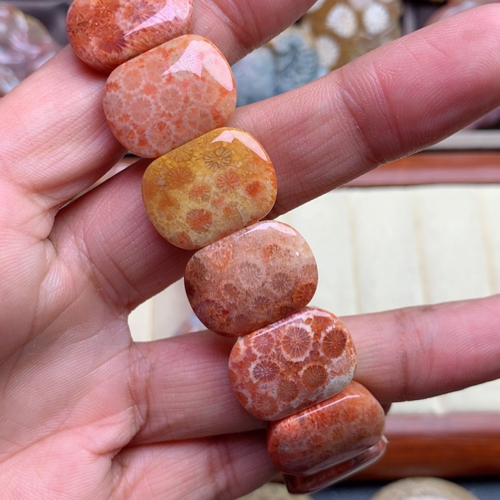 硅化珊瑚（珊瑚玉）颈饰未镶嵌