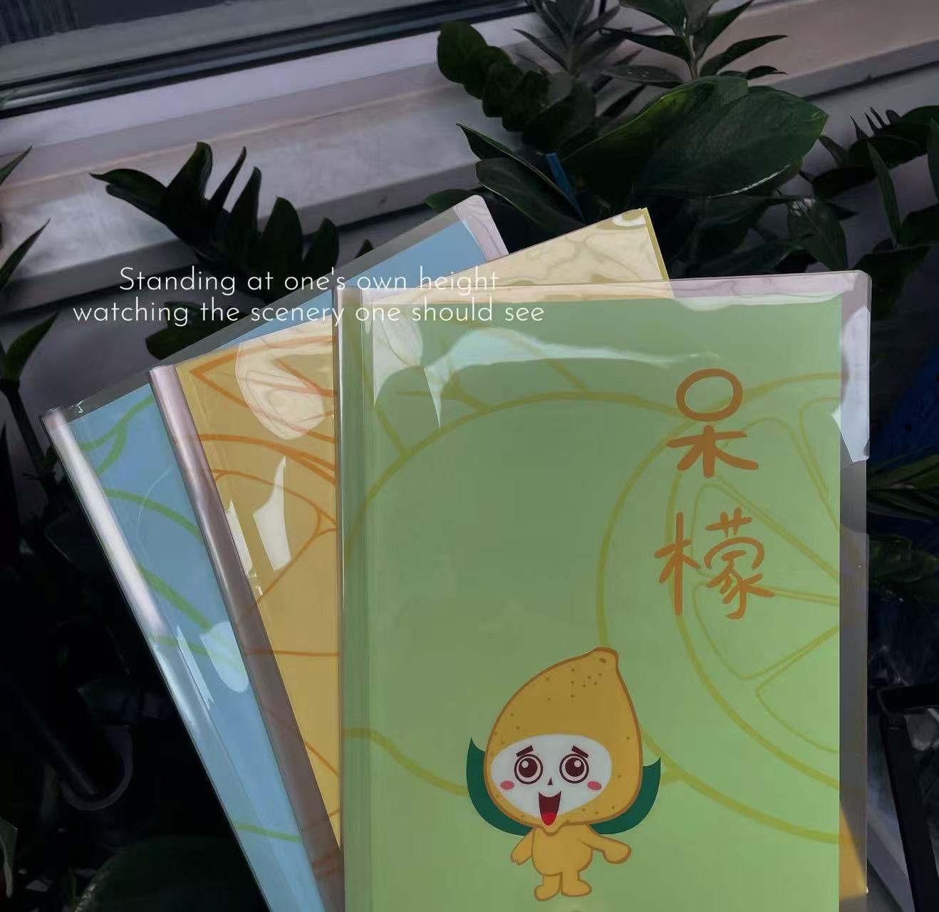 【新疆包邮】晟琪839605水果派A44抽杆夹资料册（混搭）