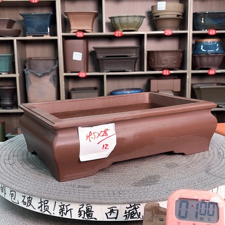 紫砂花盆紫砂的花也太美