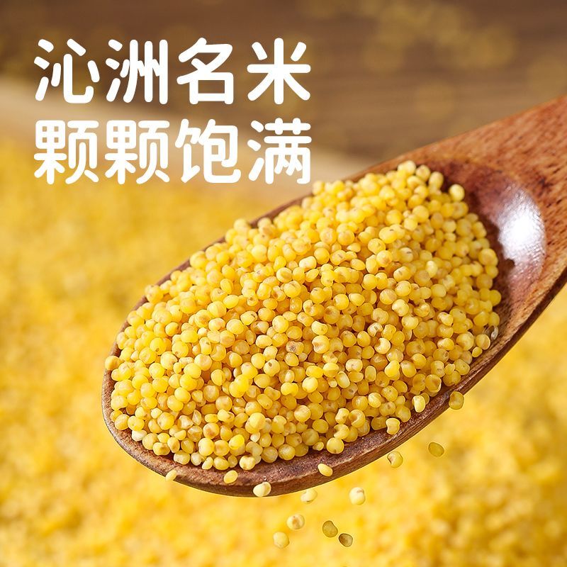 鹦鹉大头混合粮一斤装活动防蜂七彩专用八哥鸟鹦鹉食粮鸟粮鸟食