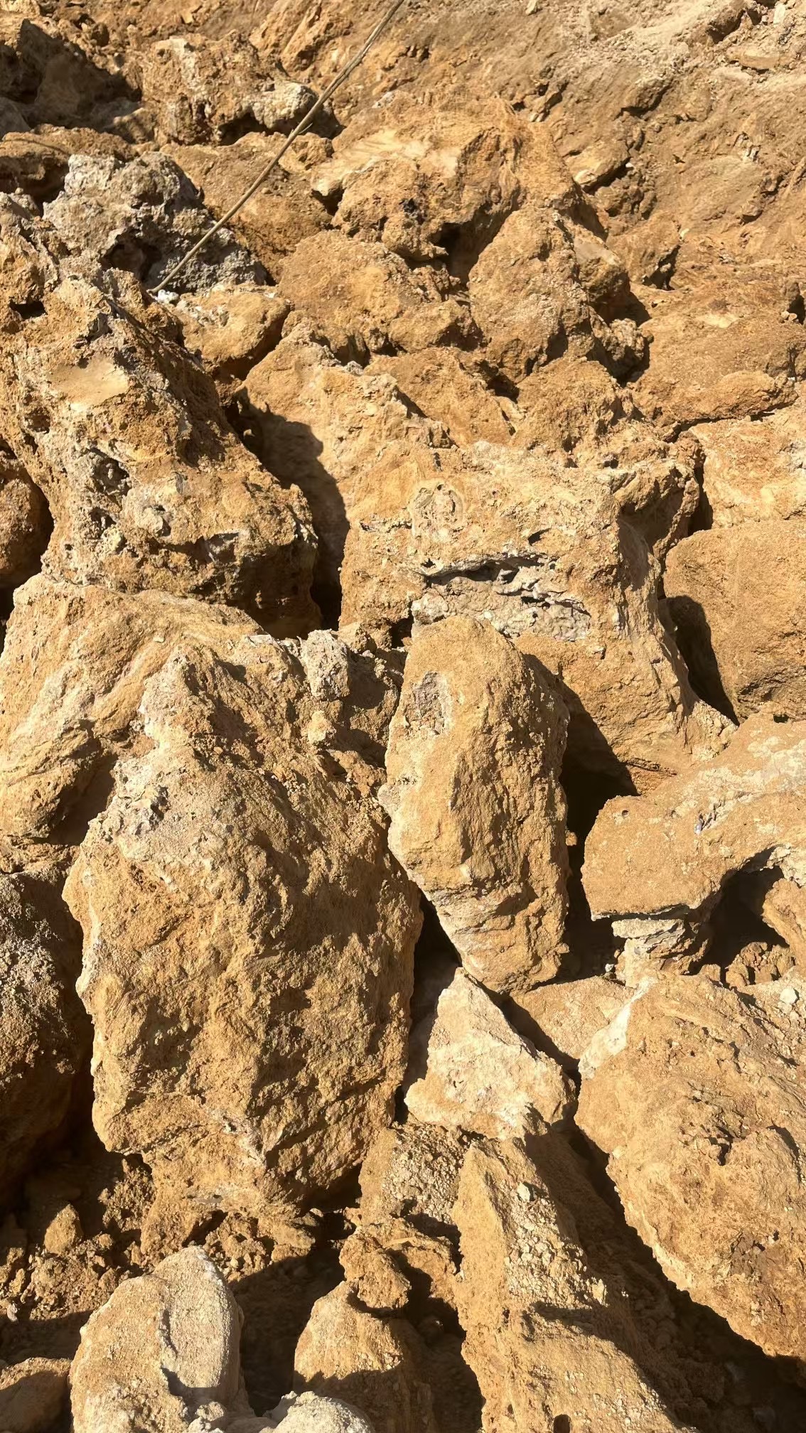 天然吸水石 毛石 芦管石 麦管石 盆景造型软石素材