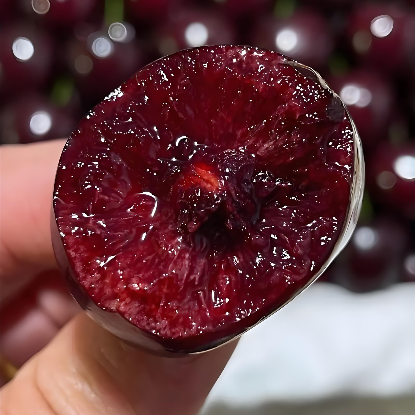 【福利小苗】车厘子大樱桃树苗