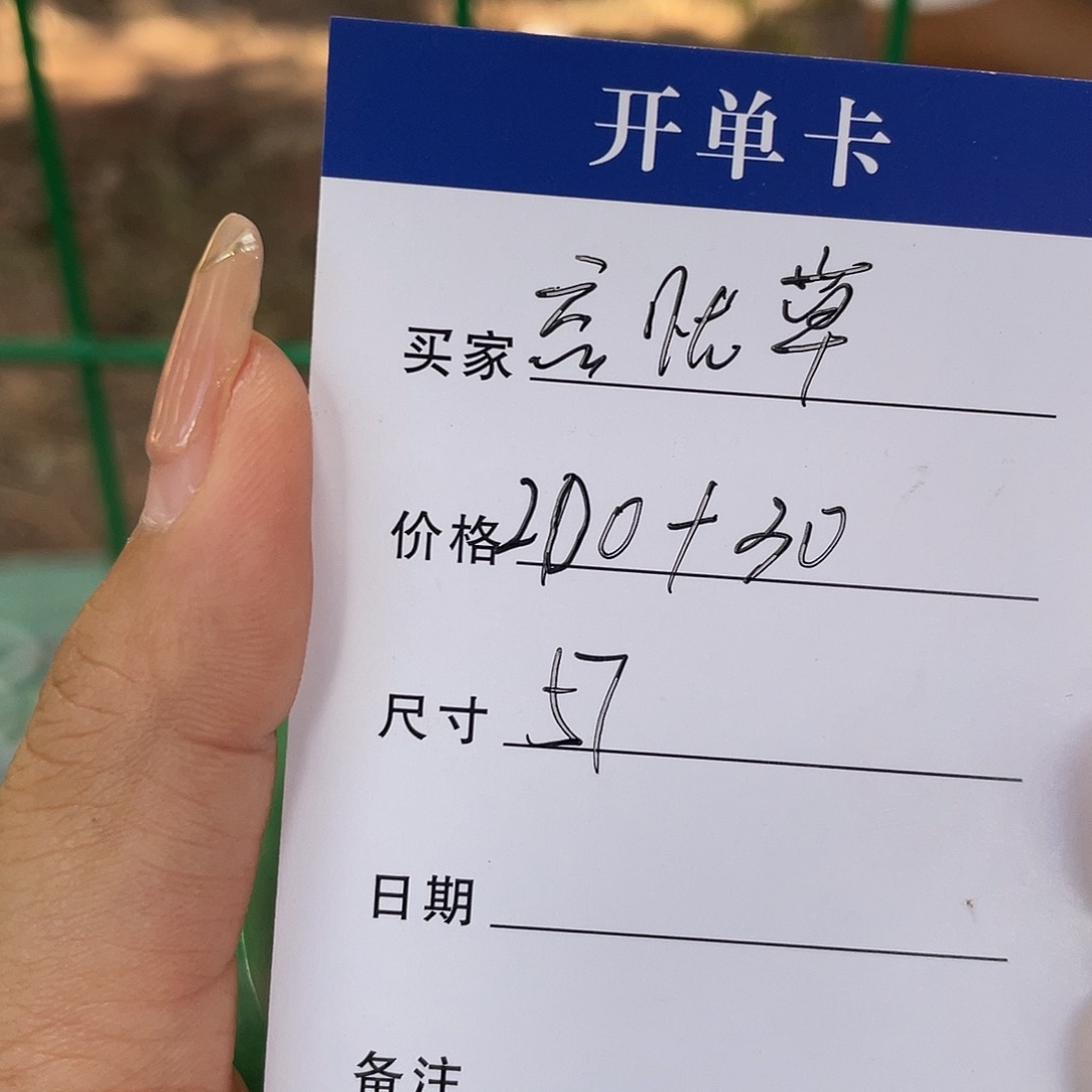 忘****非金属所见皆所得