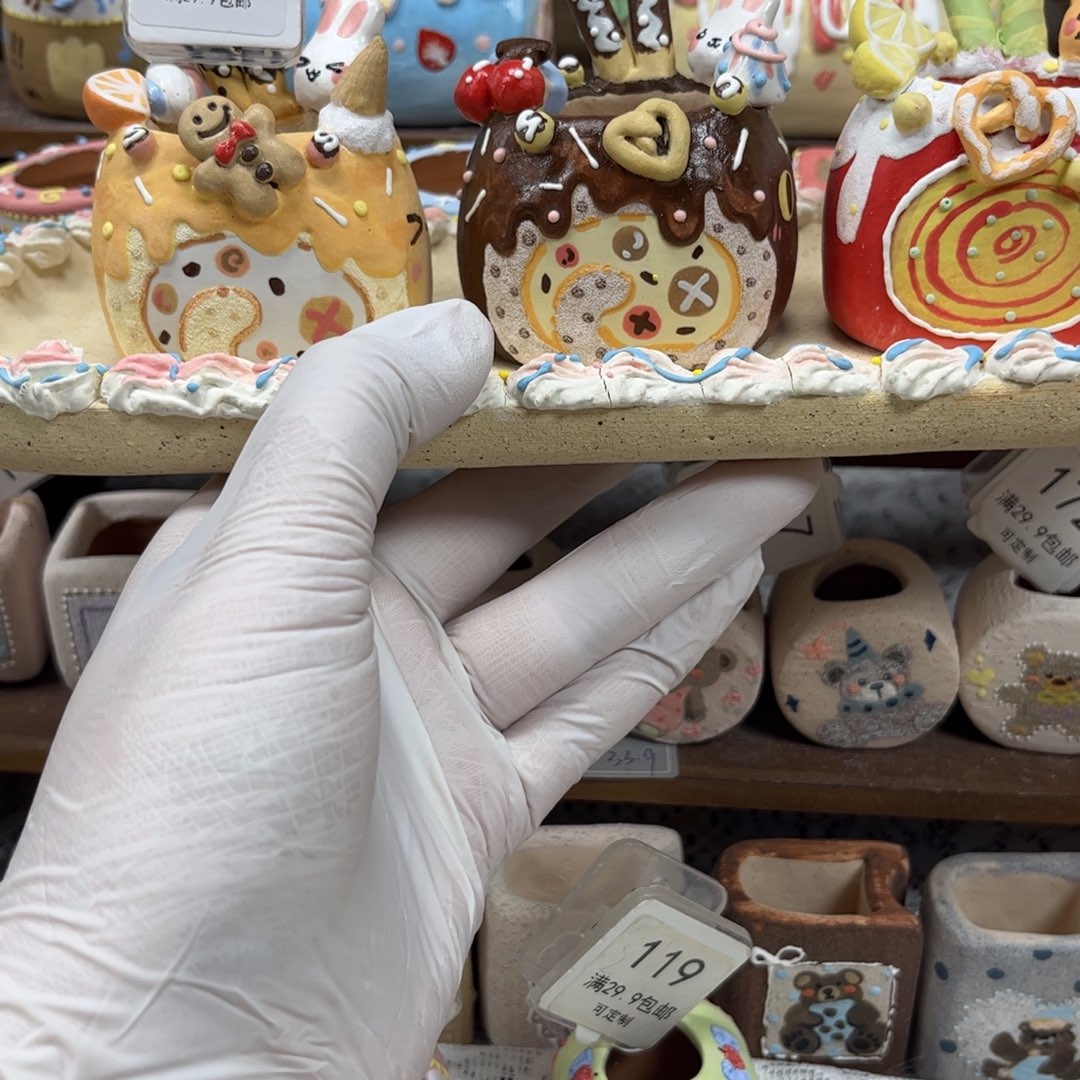 多***肉824蛋糕卷花盆打包