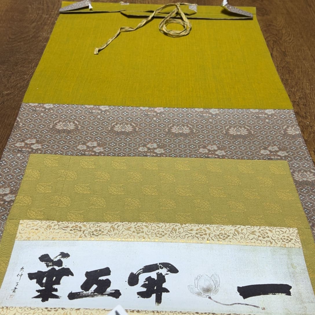 王*庆哈哈哈我的天261