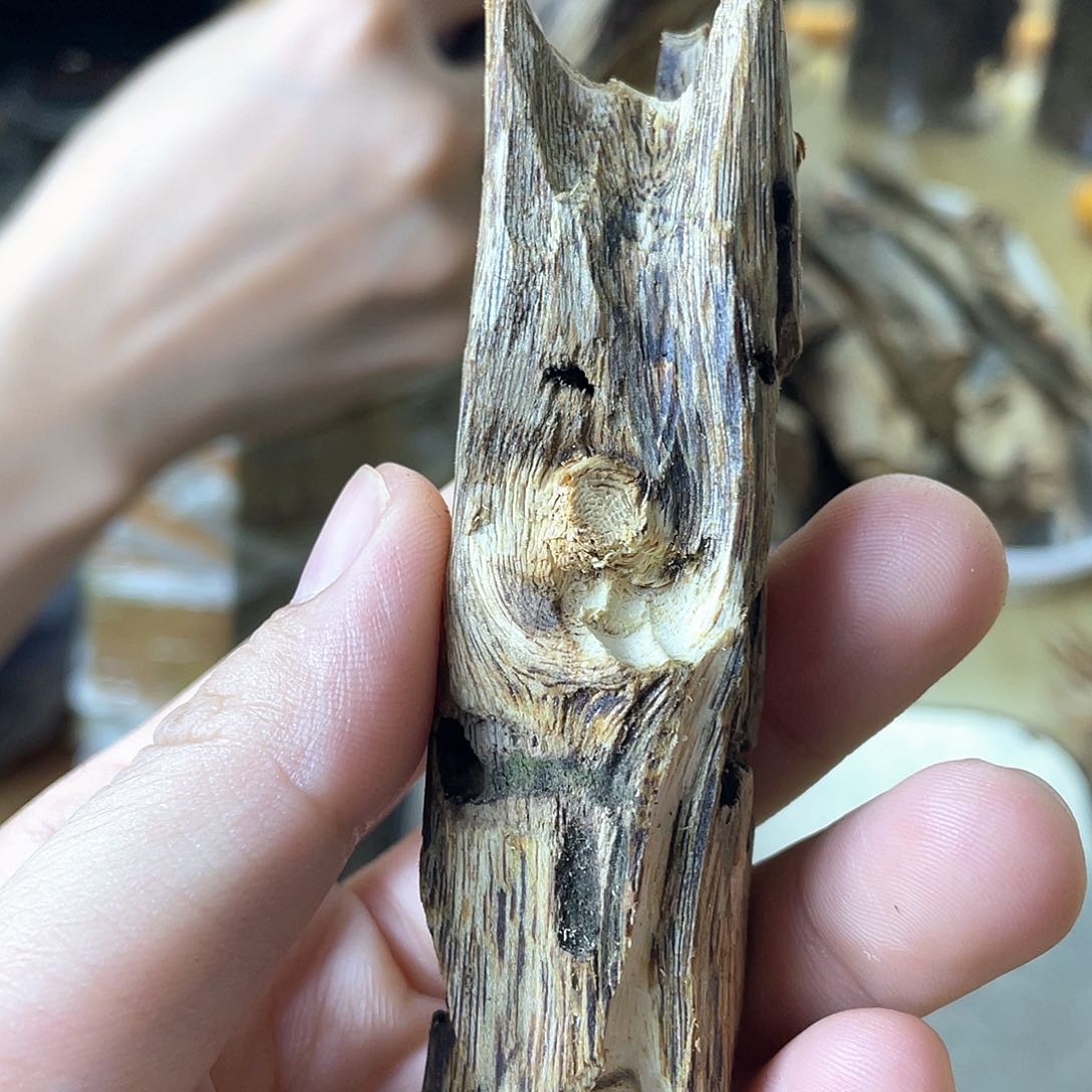 木绿奇楠原材料虫漏16克