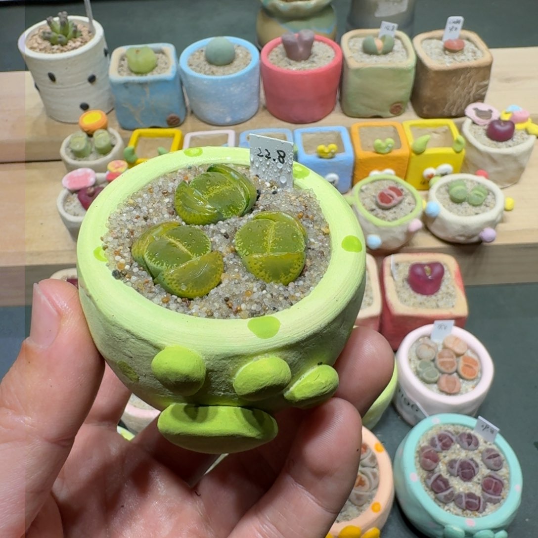 红陶蘑菇221绿宝石