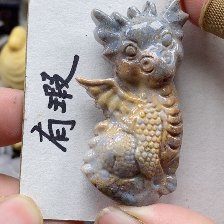颈饰未镶嵌硅化珊瑚（珊瑚玉）