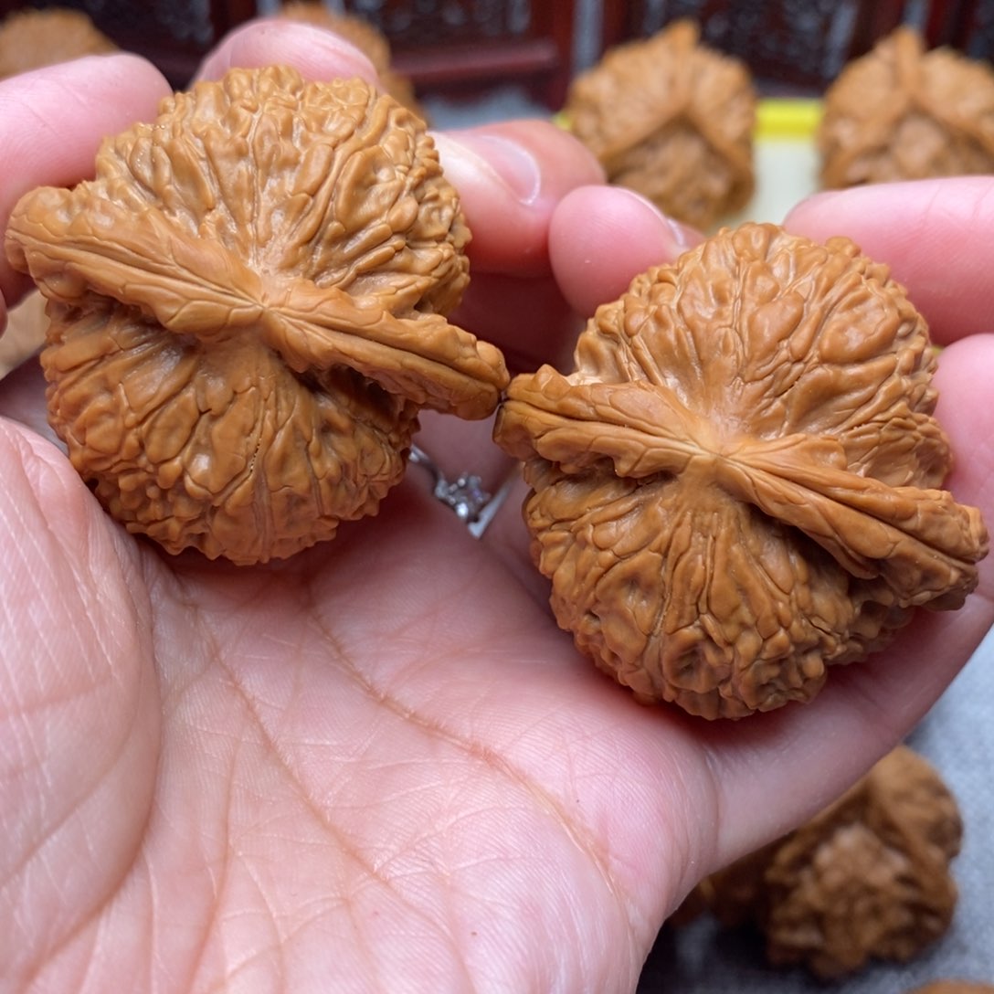 文玩核桃把件肉球白狮子毕业43尺