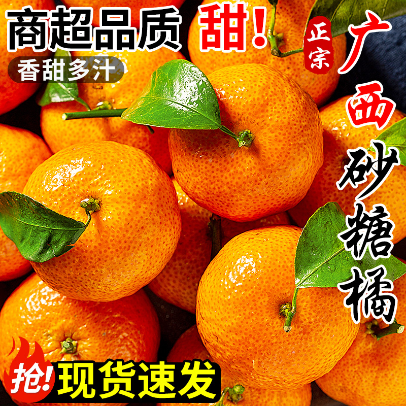 正宗广西砂糖橘新鲜水果当季现摘蜜桔金秋沙糖桔橘子贡柑整箱
