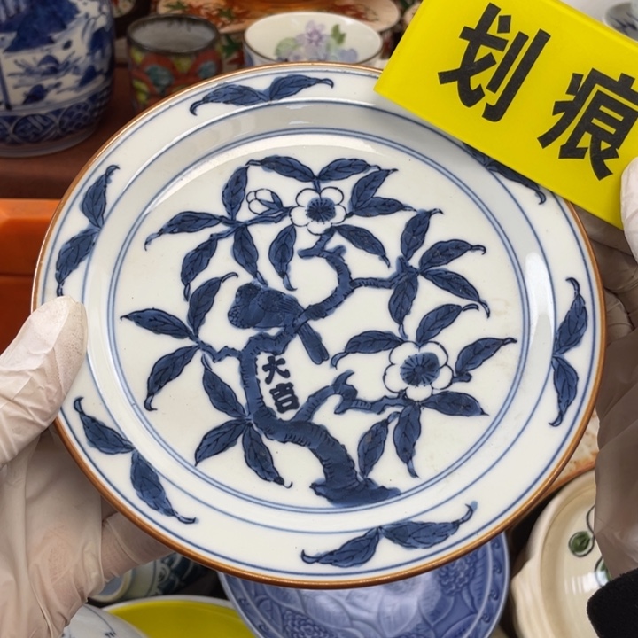 陶他家瓷器真美…开播了