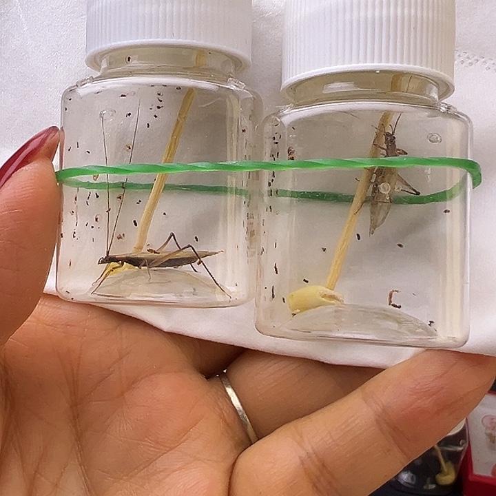 哈哈哈哈哈哈哈哈哈哈哈