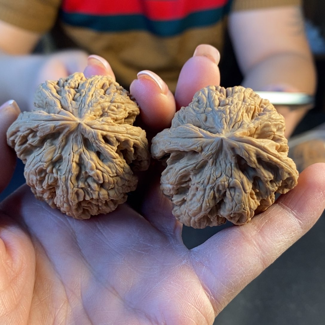 文玩核桃把件44粗筋88