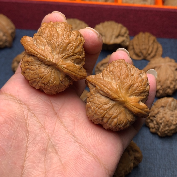 文玩核桃41尺血麒麟