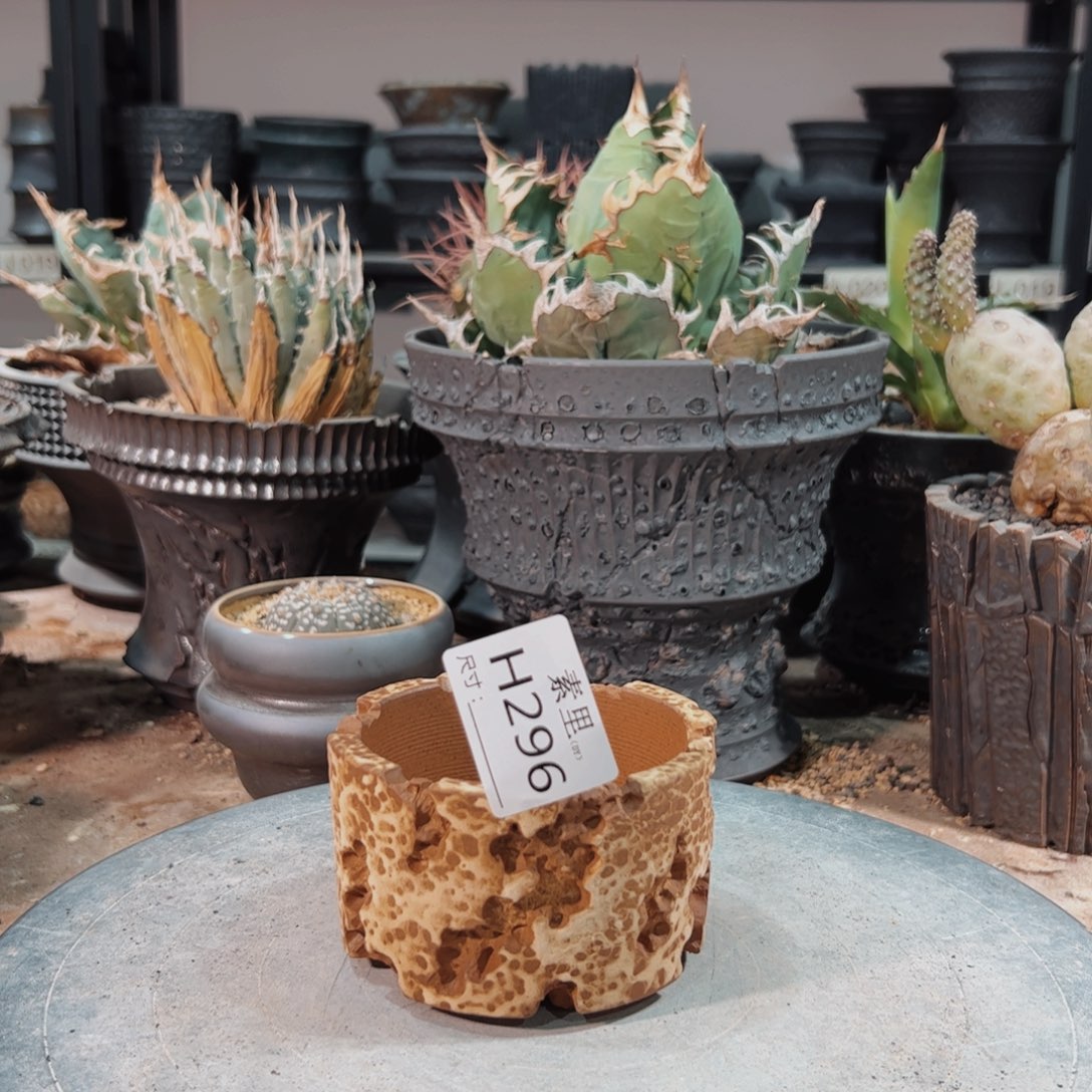 景德镇手工素里内口8.5高6