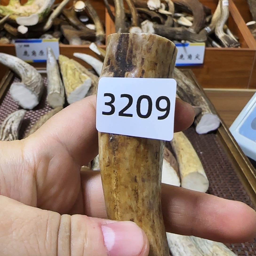 鹿骨手串/手链角尖3209