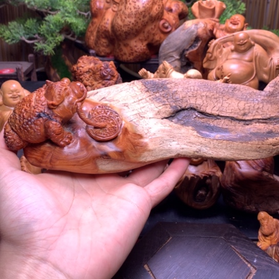 柏木（崖柏）崖柏陈化