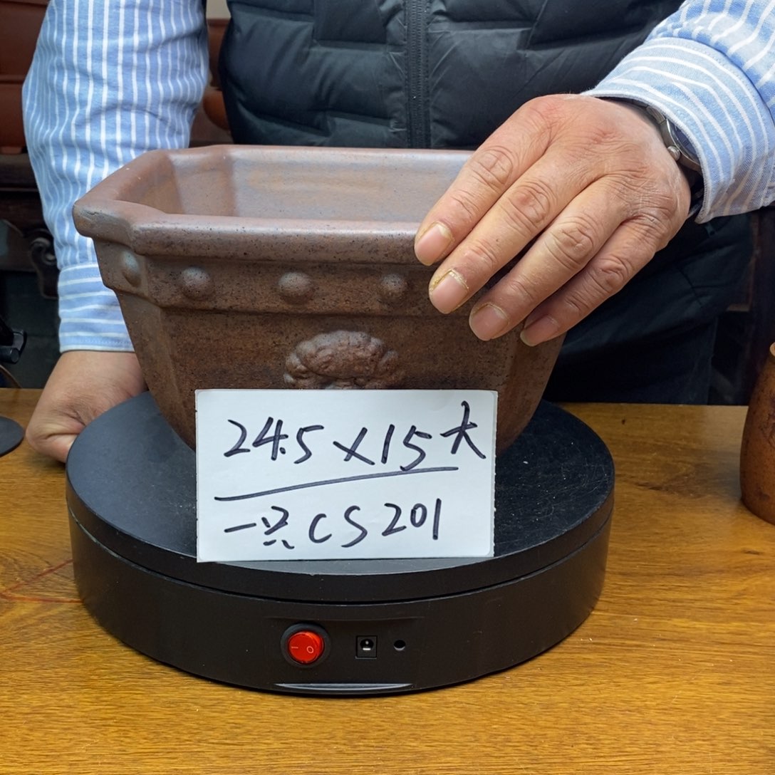 红陶货号一只CS201大