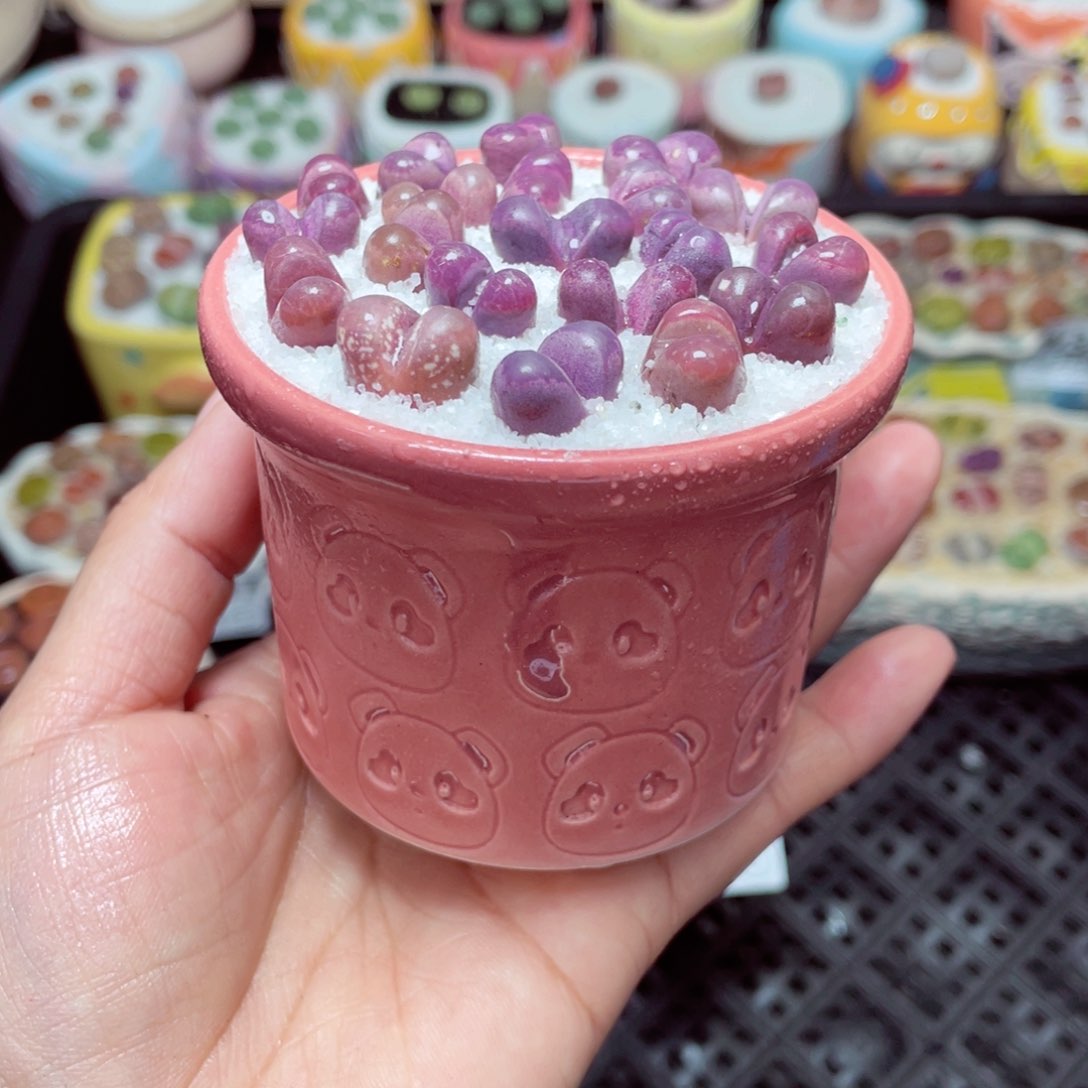 w3353微瑕-零下地区拍保温箱-15支持寄养