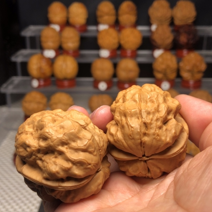 文玩核桃把件19金蟾疙瘩包