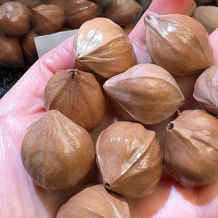 吊坠橄榄核呵*呵2.6✖️3.2