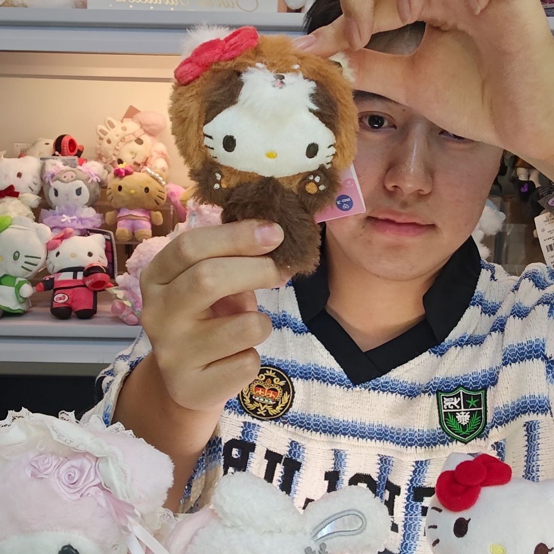 小动物系列小浣熊挂件