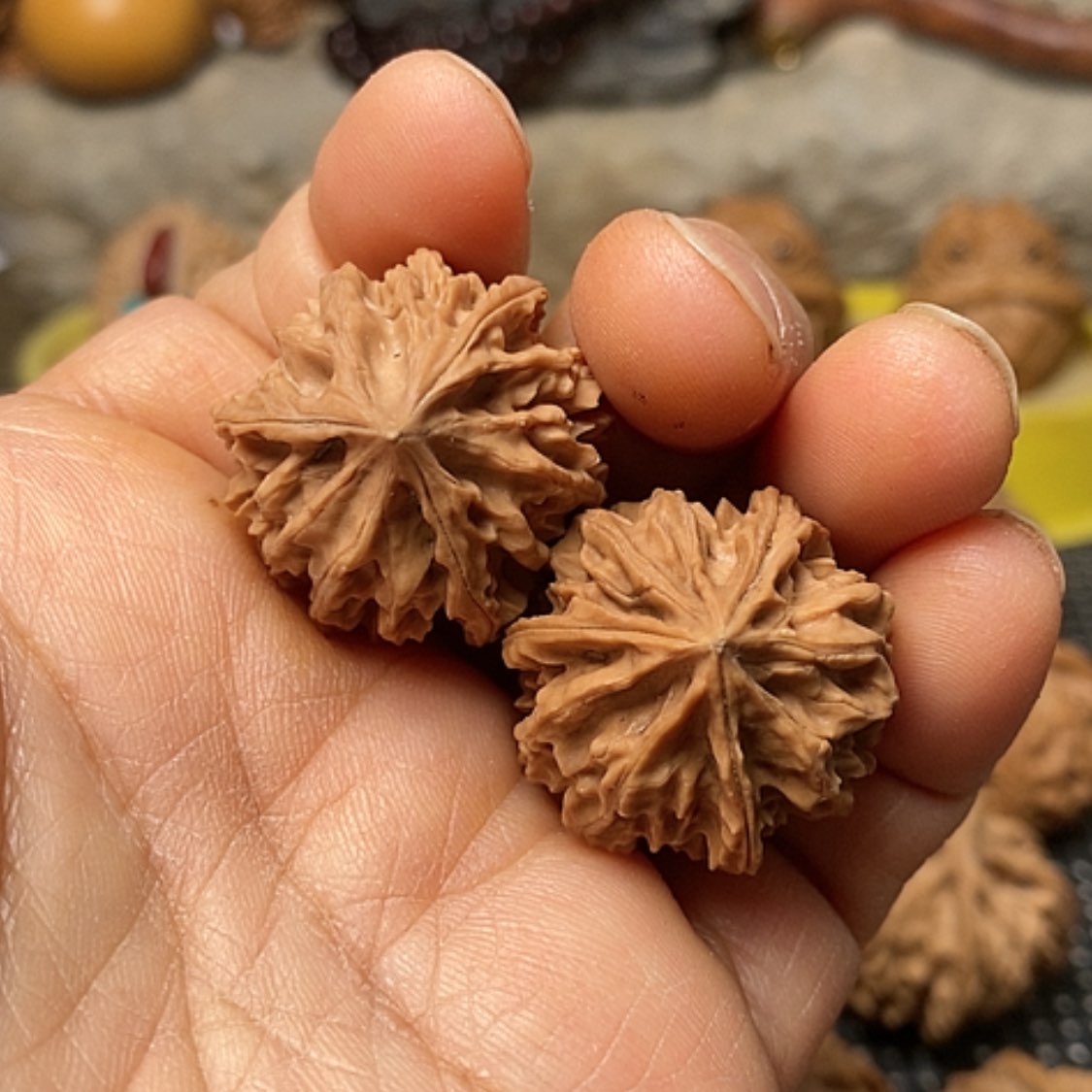 【闪购商品】把件文玩核桃三棱手捻27