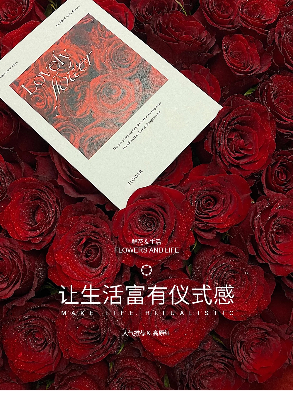    [云屿花卉] 爆款高原红20枝 任意两单花材升级顺丰冷链