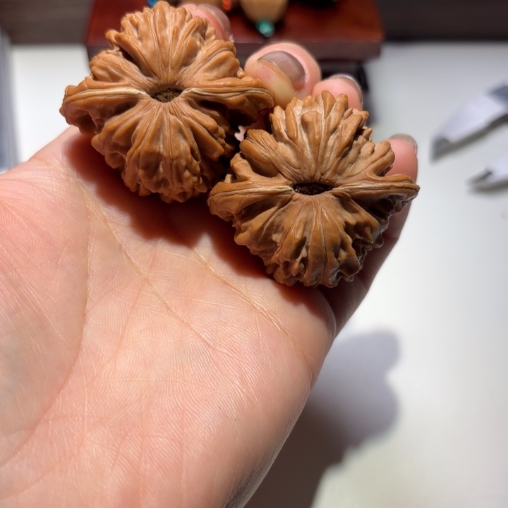 S***D核桃43尺寸四座楼