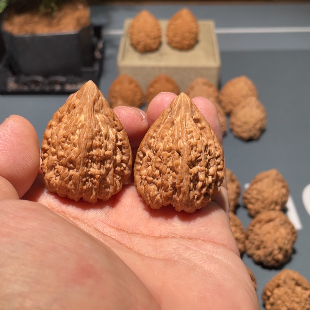 文玩核桃把件王***塔尖34