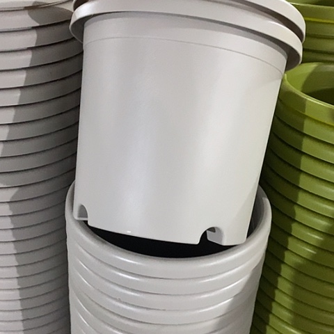 树脂特价4号8个无托灰白