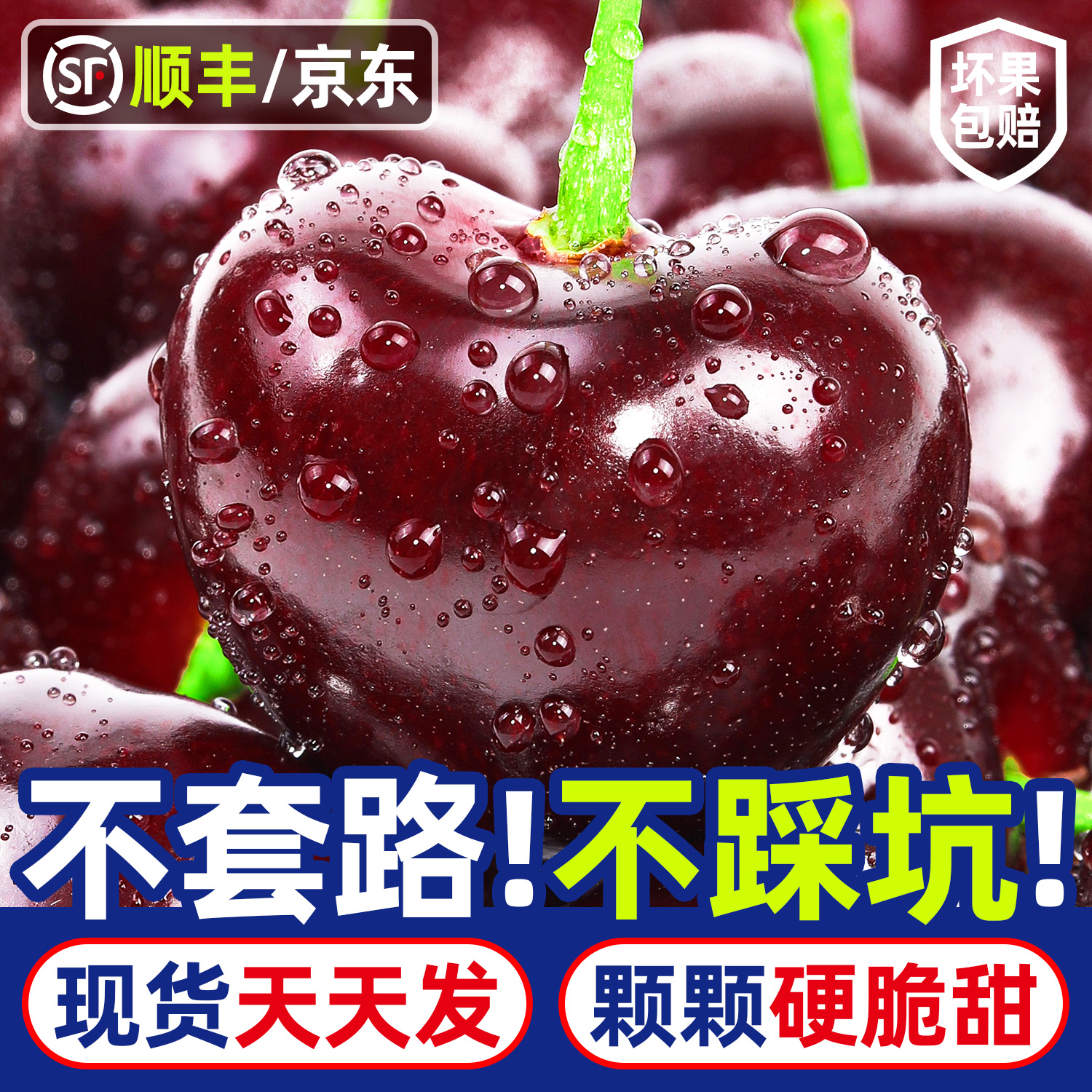 【亏1000单】智利进口空运车厘子顺丰/京东2J净重5斤内附果径卡桑提娜樱桃智利共和国