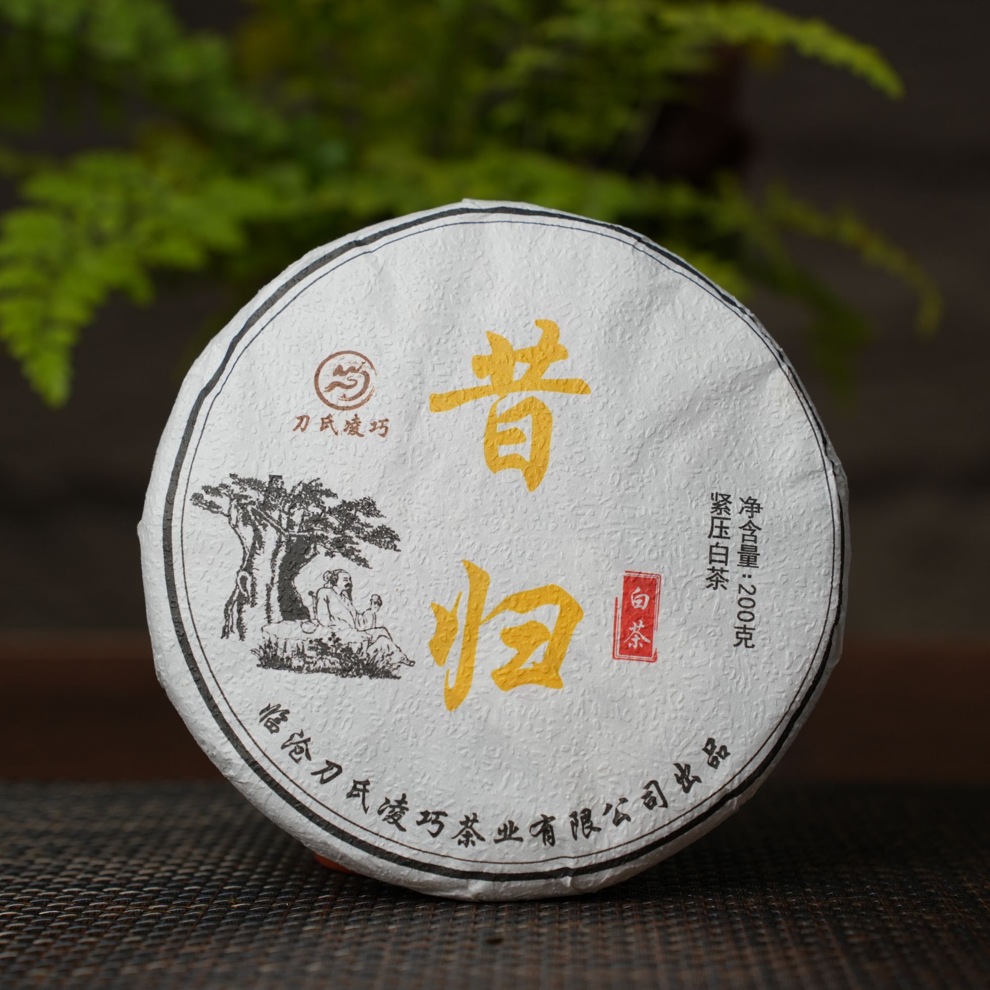 【云南老罗普洱茶】昔归白茶 2023年乔木尾春普洱生茶200克/饼