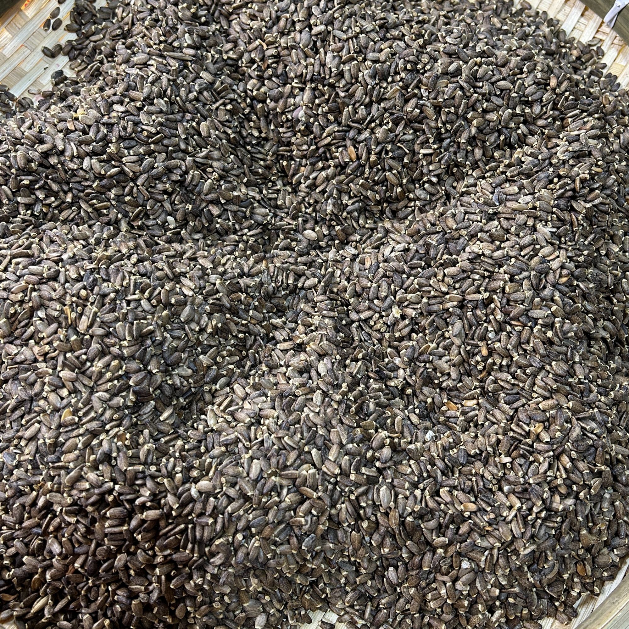 1【水-飞-蓟】净含量250g-500g【小小现收】粮