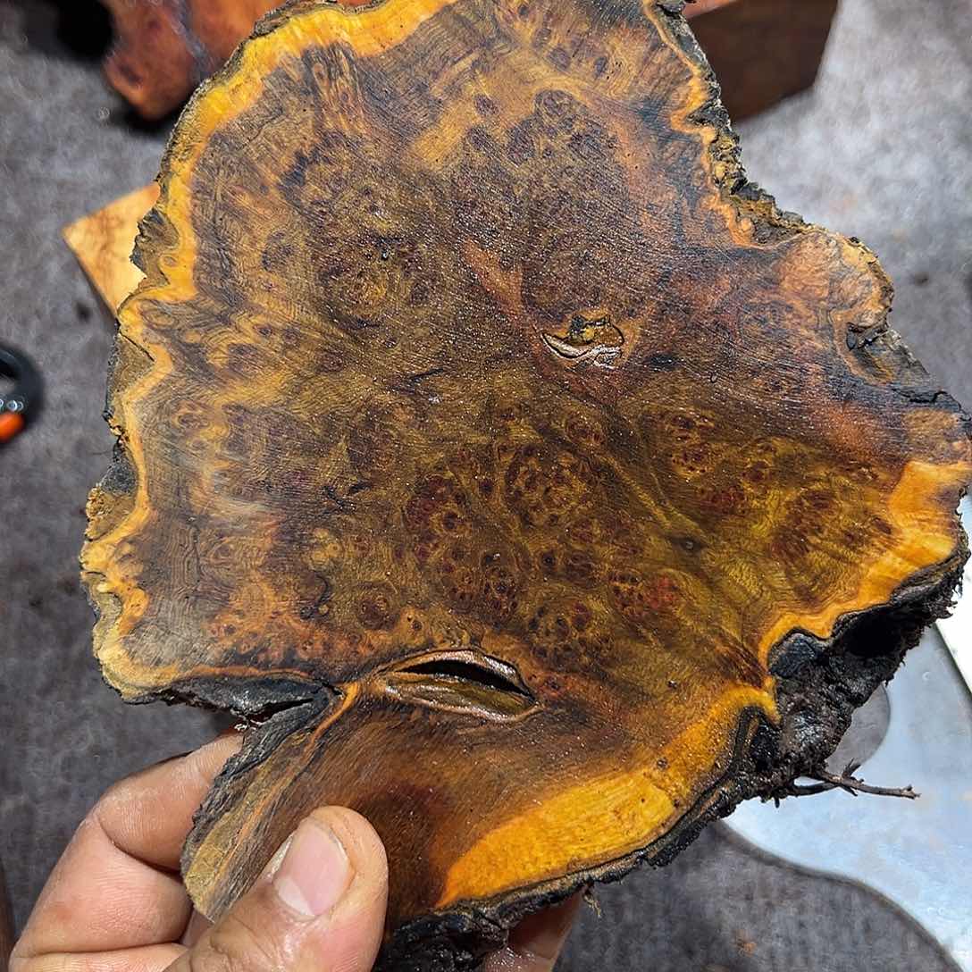 非洲檀香无事牌逸*