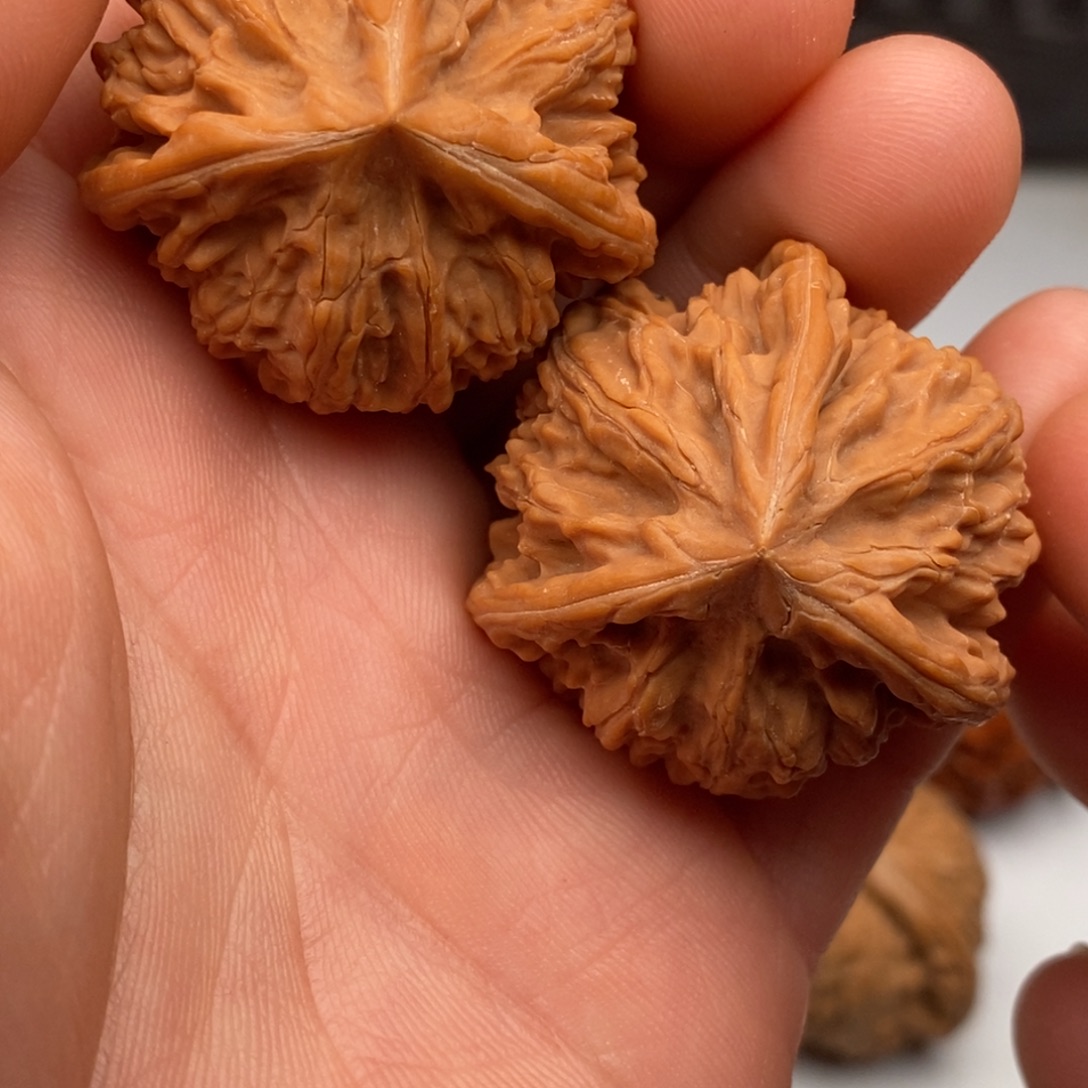 把件文玩核桃36文山三棱