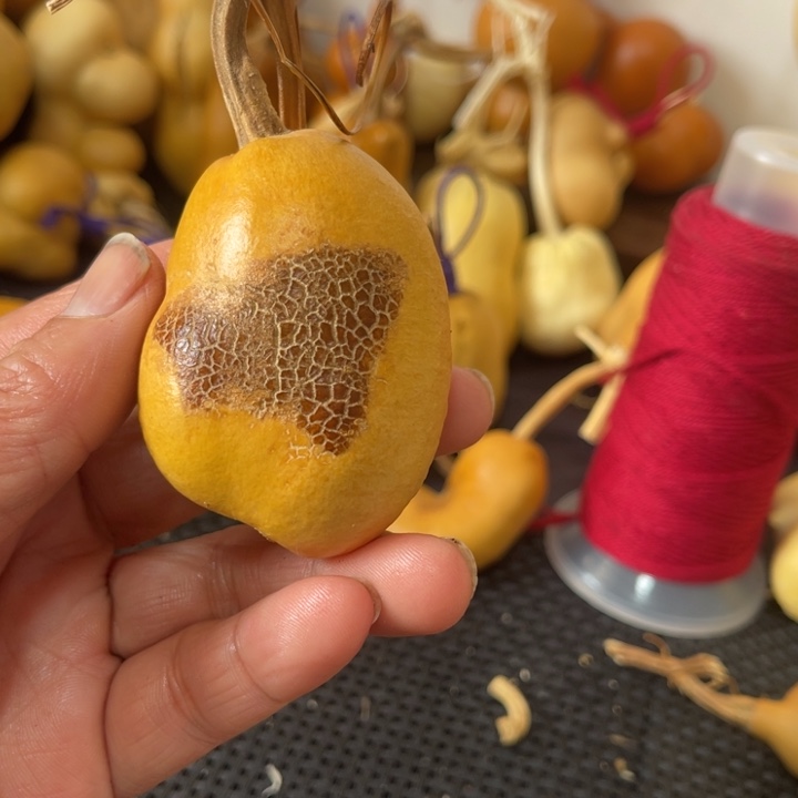 咕***噗葫芦葫哈哈哈哈哈哈哈哈