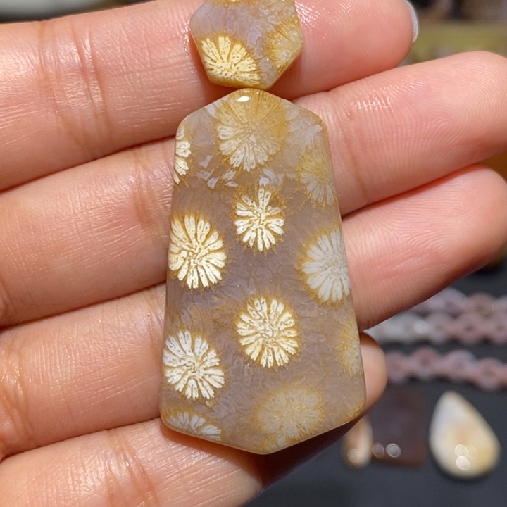 【闪购商品】未镶嵌珊瑚玉硅化玉