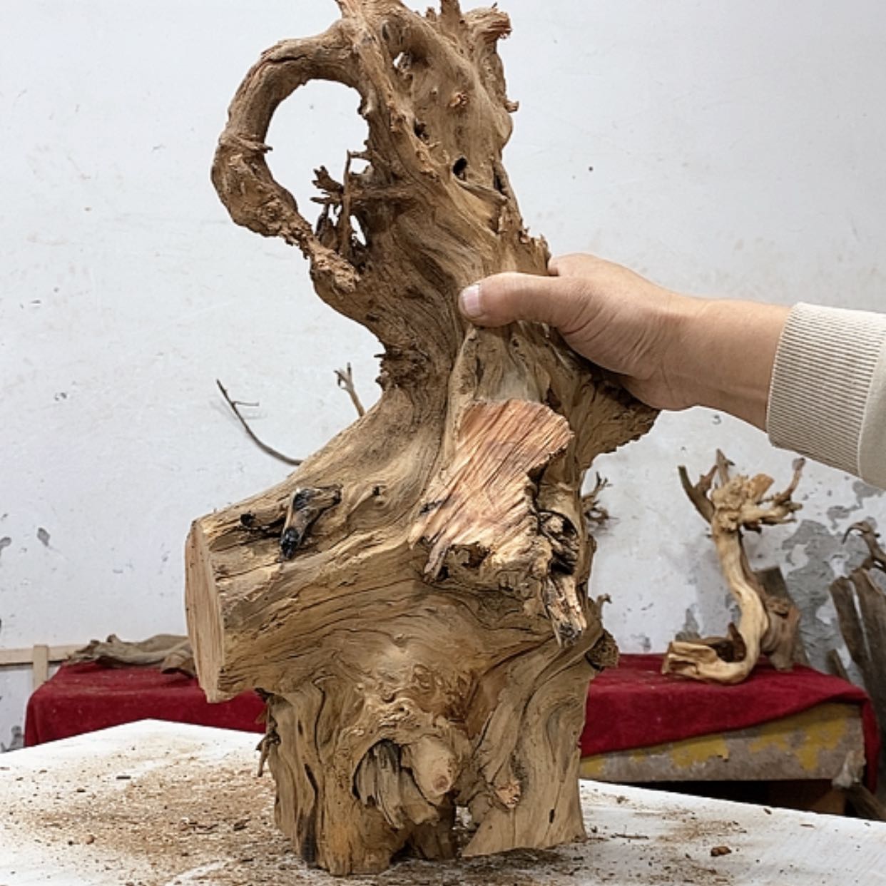 【闪购商品】柏木亮*我们都是好孩子