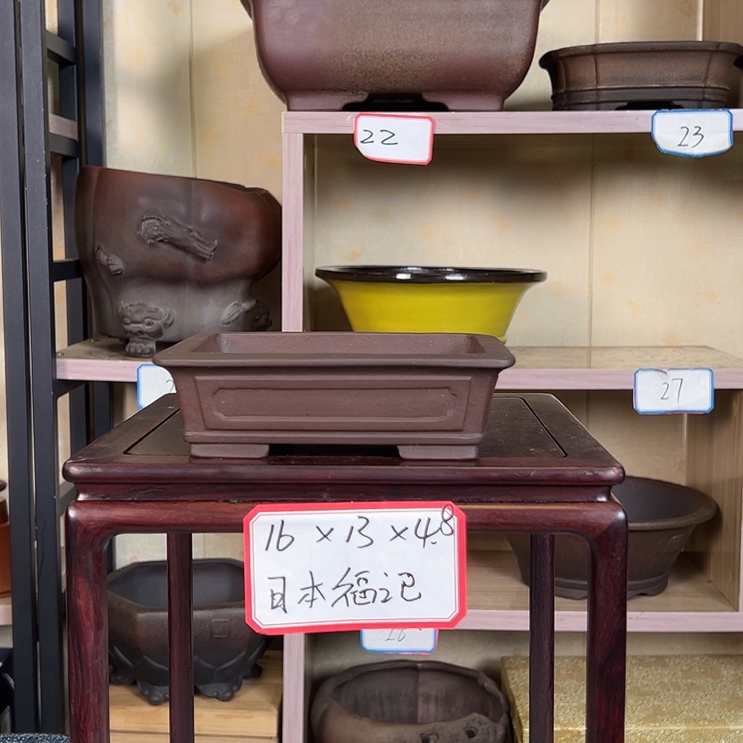 记***光紫砂花盆58659889869988