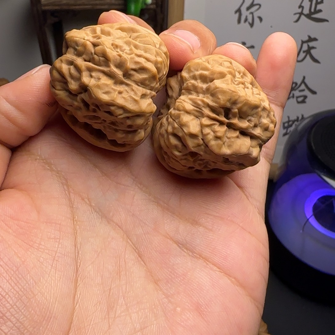 杠***壮38✖️40➕红皮蛤蟆头