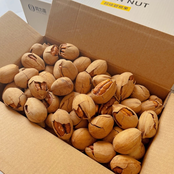 爆壳碧根果500克解馋零食