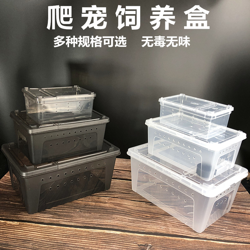 饲养盒角蛙两栖带造景爬虫盒蜘蛛大号乌龟躲避守宫蜗牛饲养箱爬宠